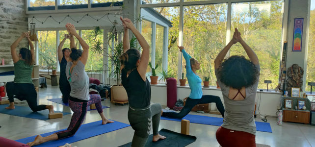 Yoga & Massage: souvenirs de la retraite de novembre 2022